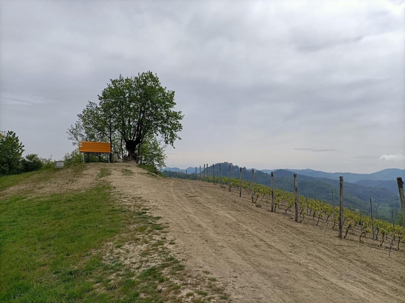 Monferrato Bed&Bike Hotel Murisengo Bagian luar foto